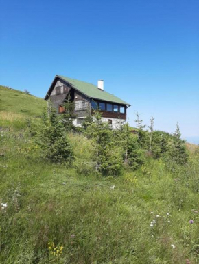 Omorika Kop